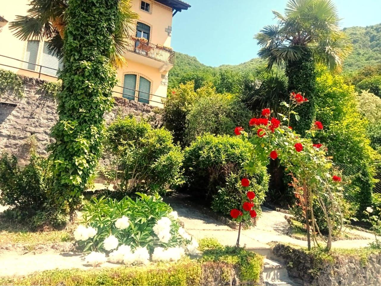 Villa Silvana 페를레도 외부 사진